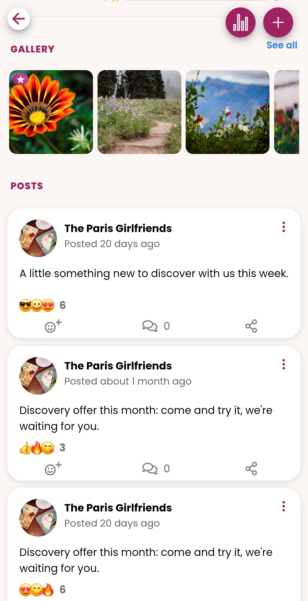 Voorbeeld van de GirlsConnect-app — galerij en berichten