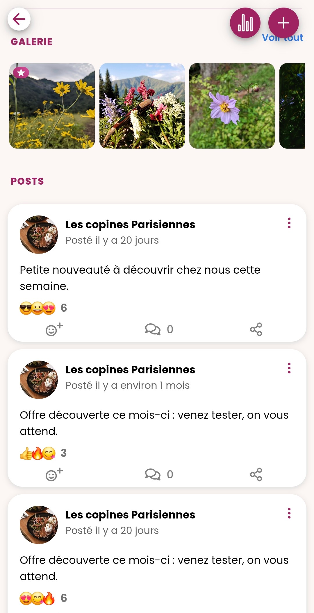 Aperçu de l'app GirlsConnect — galerie et publications